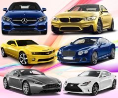 Pickup & Commercial Vehicle