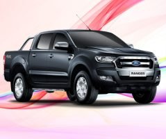 Pickup & Commercial Vehicle