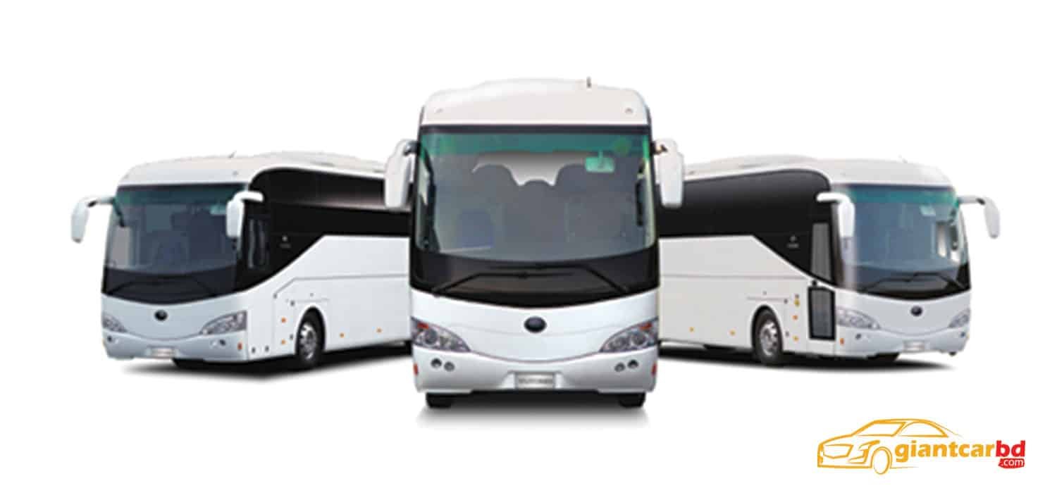 Cozy seats are offered on tourist buses